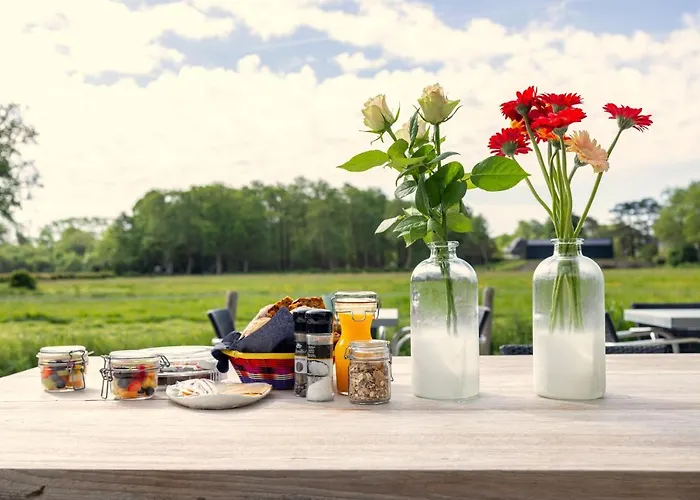 Hotell De Hazelaar 3*